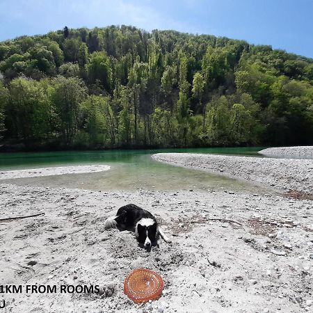 Rooms Pr Zajcku Tolmin Buitenkant foto